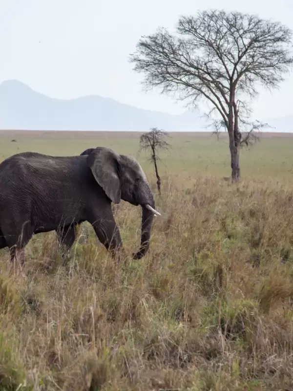 kidepo-valley-national-park4