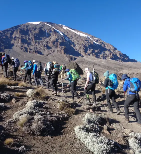 kilimanjaro-national-park3