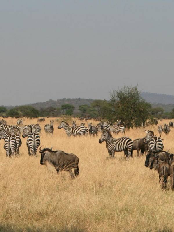 mkomazinationalpark