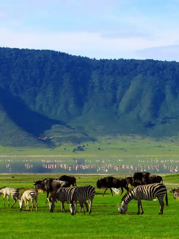 ngorongoro-crater2