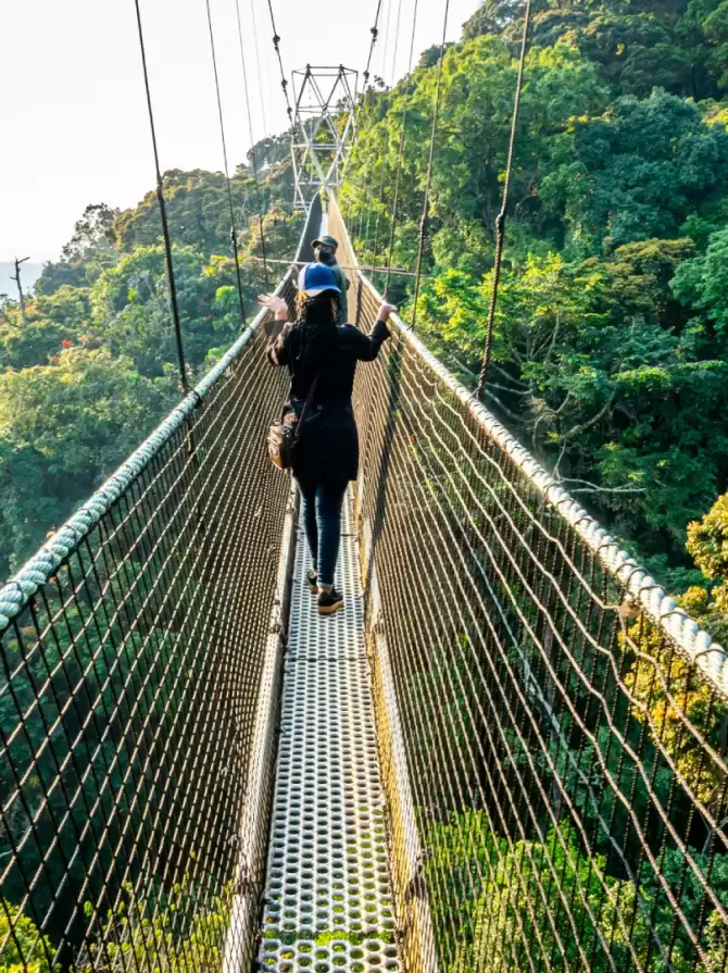 nyungwe-national-park1