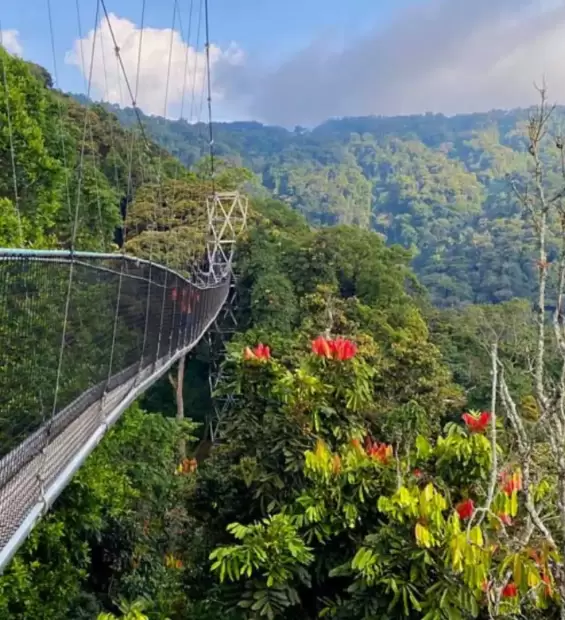 nyungwe-national-park2