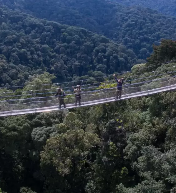 nyungwe-national-park3