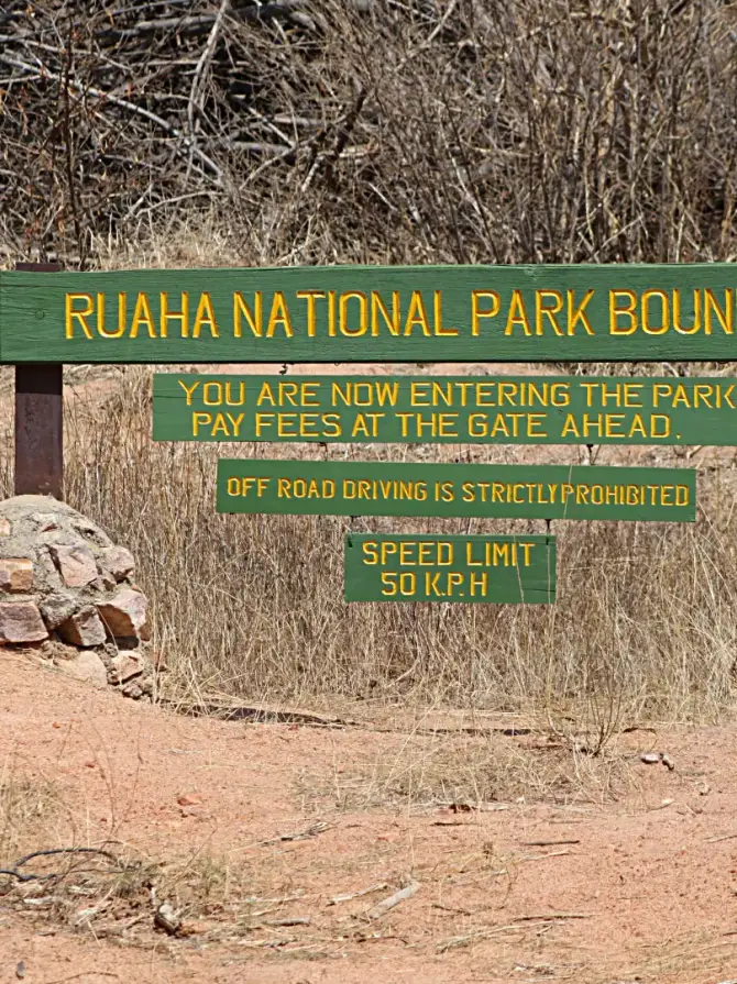 ruaha-national-park