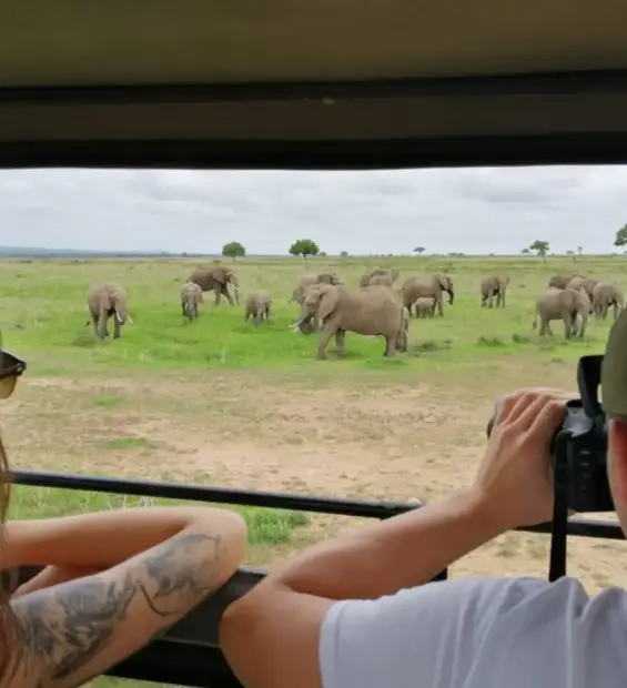 ruaha-national-park1