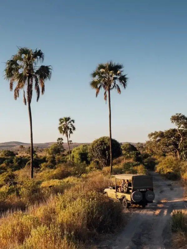 ruaha-national-park3