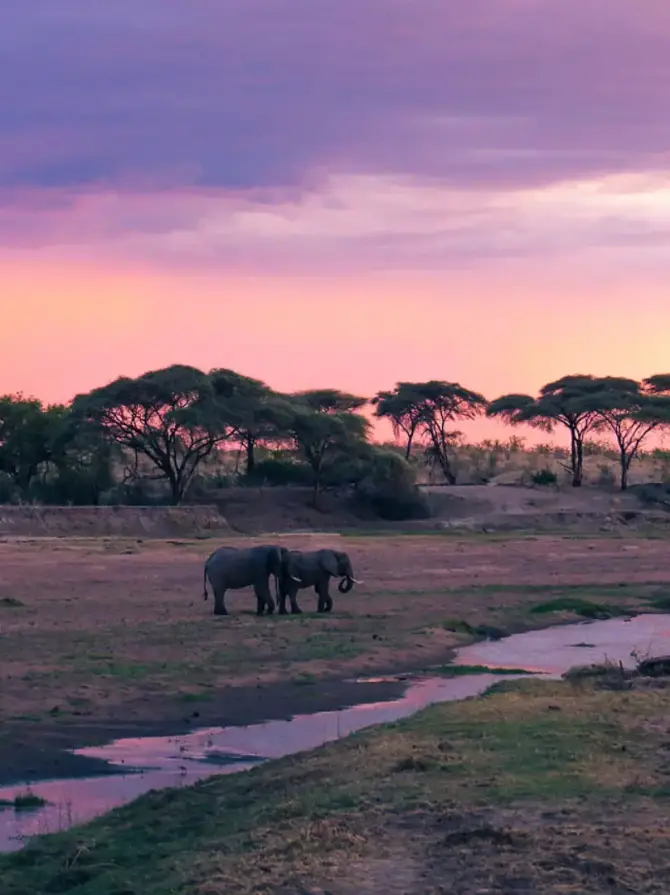 ruaha-national-park4