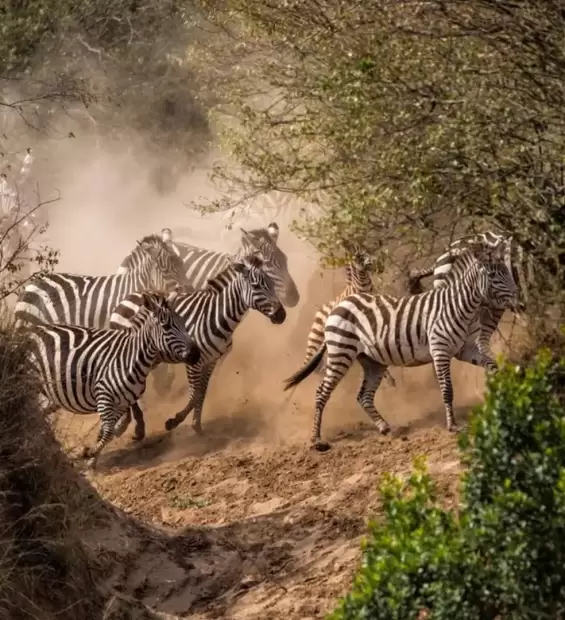 samburu-game-reserve2