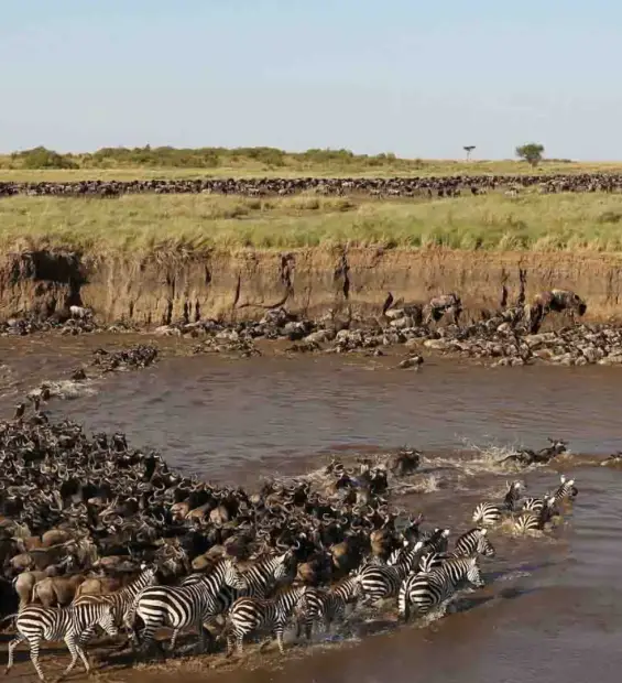 serengeti-national-park3