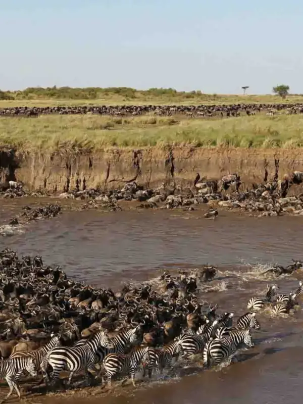 serengeti-national-park3