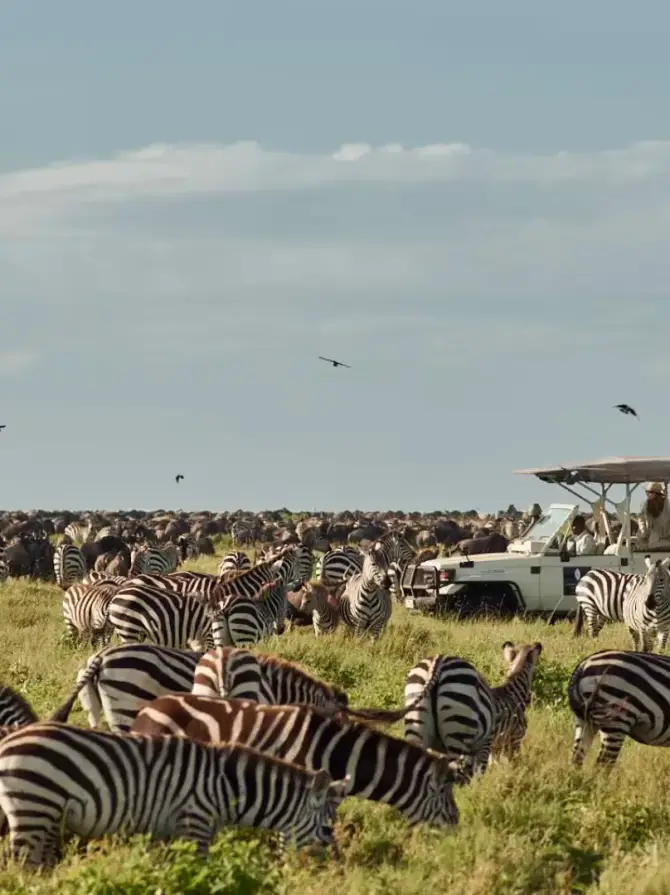 serengeti-national-park4