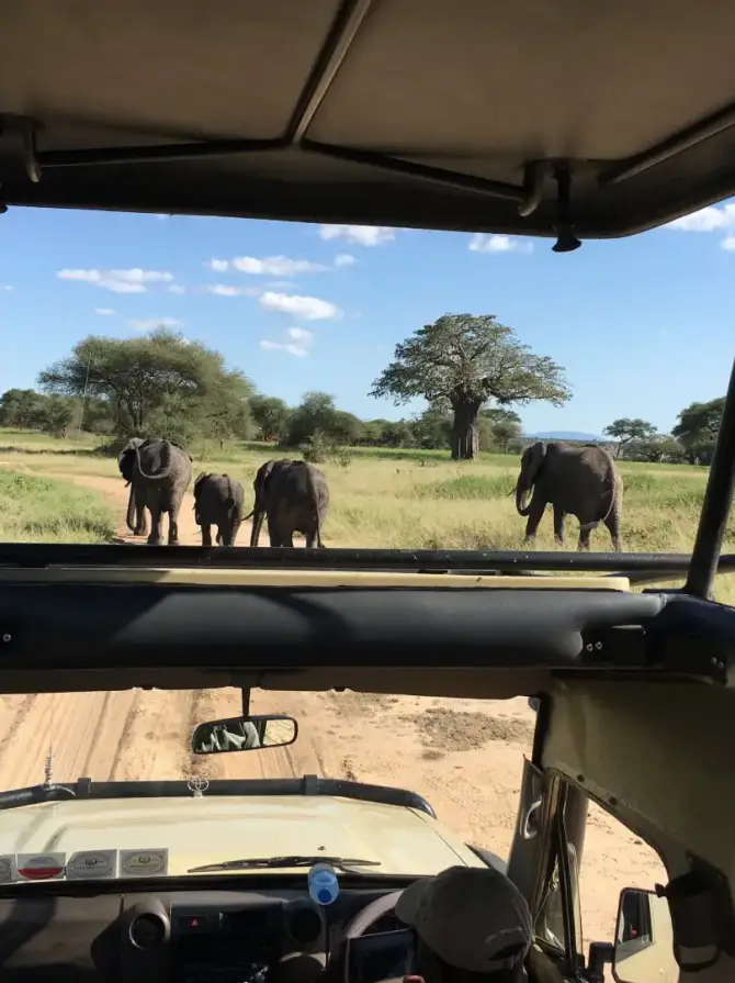 tarangire-national-park2