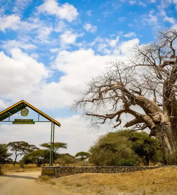 tarangire-national-park3