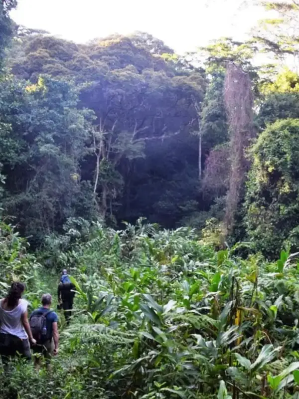 udzungwa-mountains-national-park3