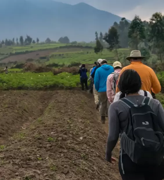 virunga-mountain-national-park2