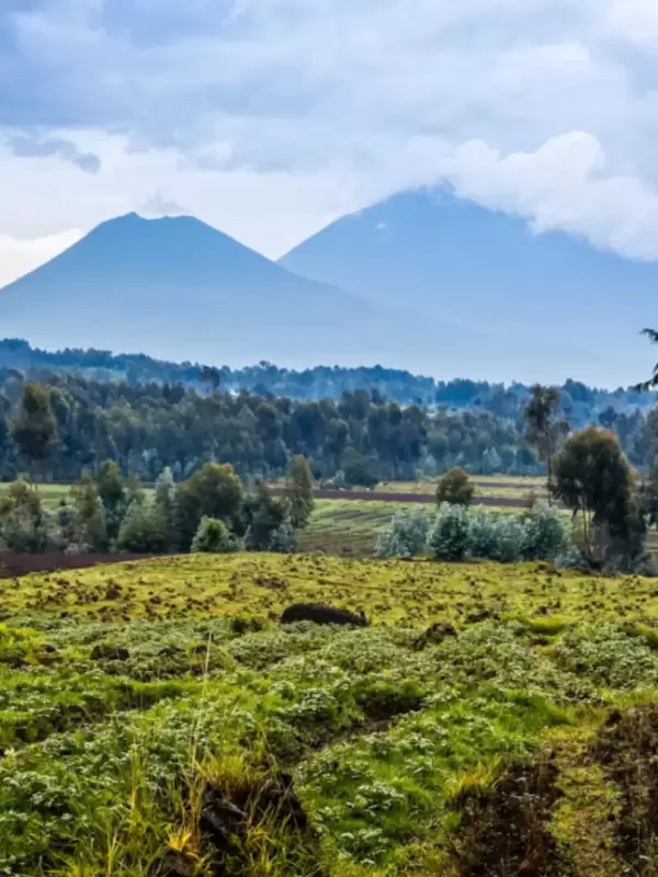 virunga-mountain-national-park4